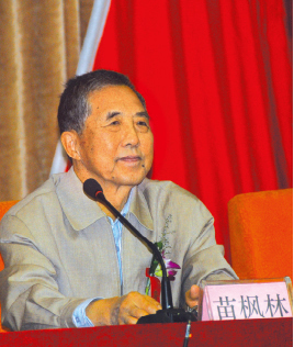 苗枫林